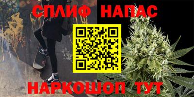 индика Кулебаки