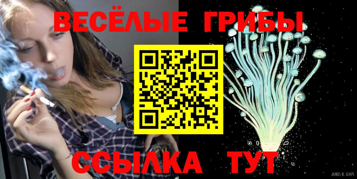 Элиста  Псилоцибиновые грибы Psilocybe  Вход с VPN  Галлюциногенные грибы Psilocybine cubensis 